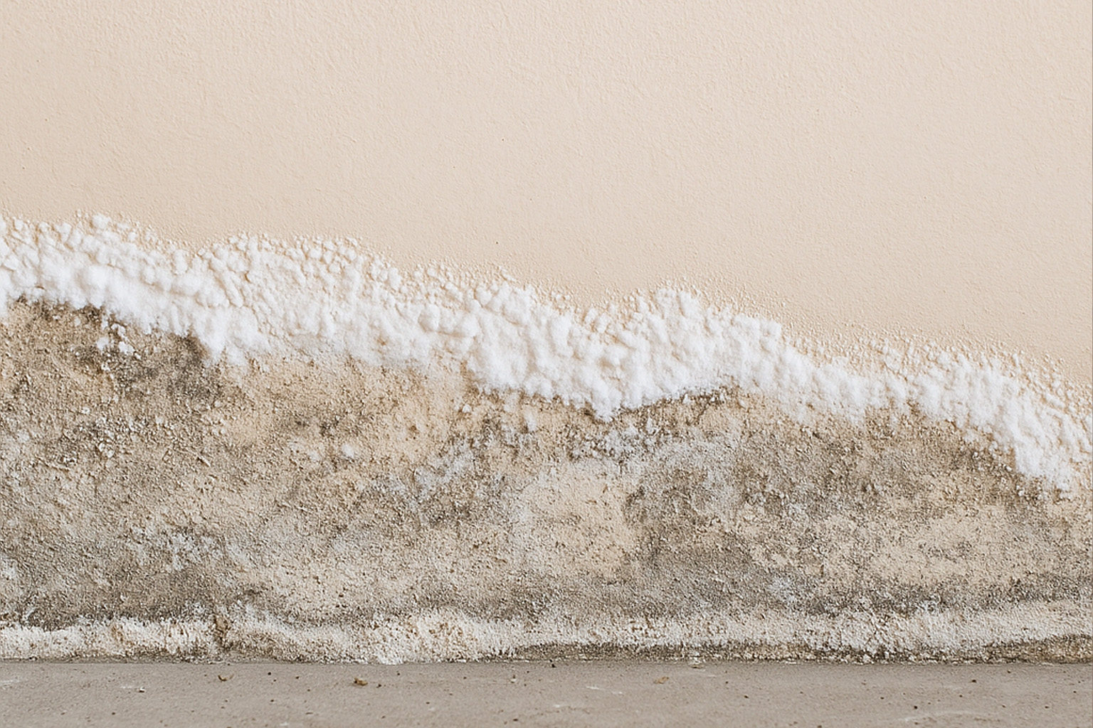 Vochtwering door SPM: als je goed en snel af wil van die vervelende zoutuitvloeiing op een muur